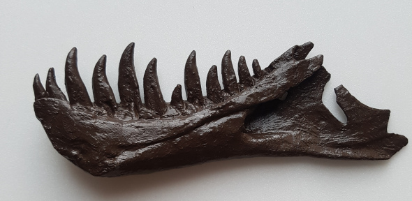 Replica T rex jaw bone and teeth