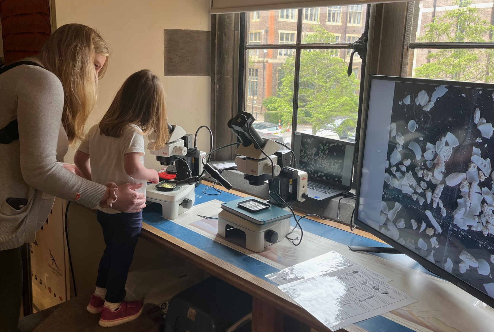 A mum helps a young girl look down a microscope, standing on a stool. The table has a second microscope and a large screen, showing white, shell-like fragments which are tiny fossils, the size of a grain of sand.