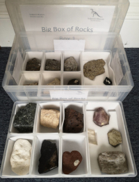 different rocks and minerals displayed in a box