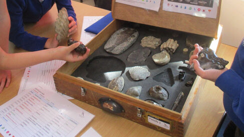 children's hands holding fossils