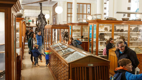 Visitors in the Sedgwick Museum looking at the displays