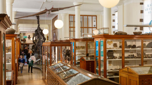 Visitors in the museum