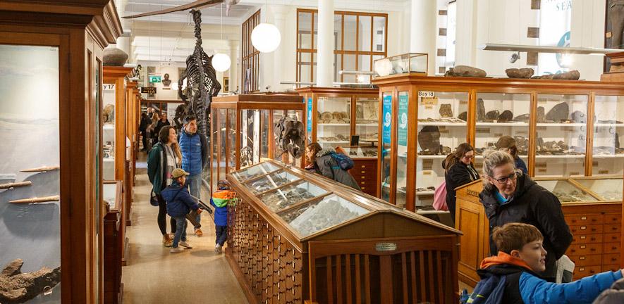 Visitors in the Sedgwick Museum looking at the displays